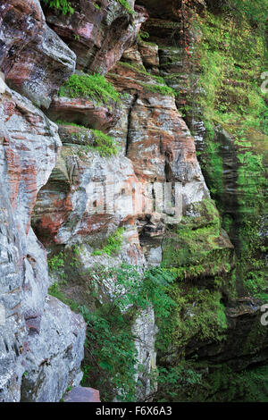 Eine Meile Wanderung erreicht die bunten Wände Schwarzfaust Sandstein im Rock House in Ohios Hocking Hills State Park. Stockfoto