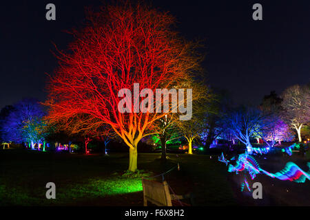 Brentford, London, UK. 20. November 2015. Der verzauberte Wald kehrt in Syon Park und Haus in Brentford am 20. November zum 10. Mal. Ein beleuchteter Weg führt die Besucher durch den Park und um Capability Brown Serpentine River, Ende des 16. Jahrhunderts Syon House und der große Wintergarten mit Lichteffekten, beleuchtete Bäume und Figuren und eine Laser-Show. Bildnachweis: Imageplotter/Alamy Live-Nachrichten Stockfoto