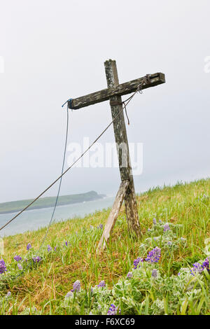 A verwitterte Holz Kreuz steht unter Lupine in der Tundra an der Küste der Beringsee, St.-Paul-Insel, südwestlichen Alaska, USA, Sommer Stockfoto