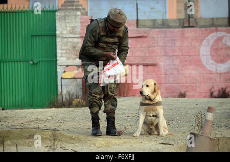 Srinagar, Indien. 21. November 2015. Ein Soldat der indischen Armee zusammen mit Spürhund bereitet, das improvisieren elektronischen Gerät (IED) in Narbal am Stadtrand von Srinagar der Sommerhauptstadt von Indien kontrollierten Kashmir.India Armee zu verbreiten und paramilitärische Soldaten behauptet, einen Sprengsatz erholt haben in der Nähe von Srinagar-Baramulla Straße. Sicherheitsbehörden später verbreitet das Gerät in einem nahe gelegenen Reisfeld und sagte, dass das Gerät zum Ziel Kräfte im Bereich gepflanzt wurde. Bildnachweis: Faisal Khan/Pacific Press/Alamy Live-Nachrichten Stockfoto