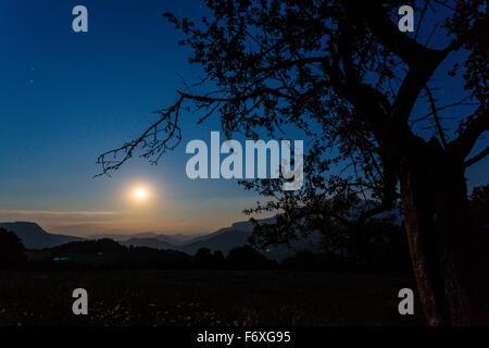 Vollmond über einen Berg, Ötscher, Naturpark Ötscher Tormäuer, Niederösterreich, Österreich Stockfoto