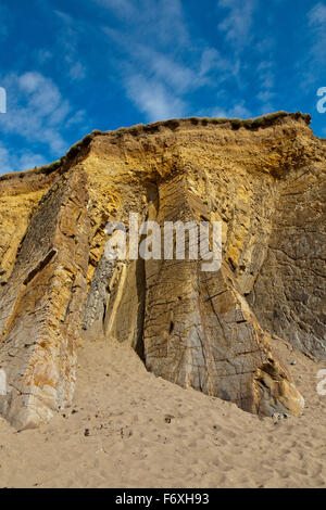 Der markante vertikale und gefalteten Bude Sandstein Schichten bei Widemouth Bay, Cornwall, England, UK Stockfoto