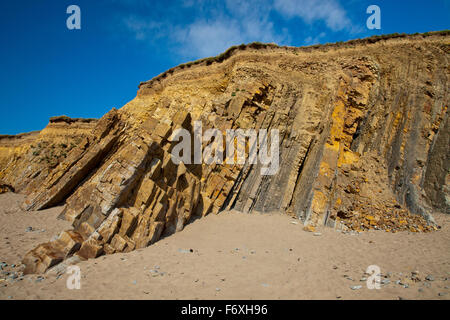 Der markante vertikale und gefalteten Bude Sandstein Schichten bei Widemouth Bay, Cornwall, England, UK Stockfoto