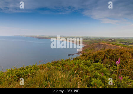 Blick nach Norden in Richtung Widemouth Bay von der Spitze des Penhalt Cliff, Cornwall, England, UK Stockfoto