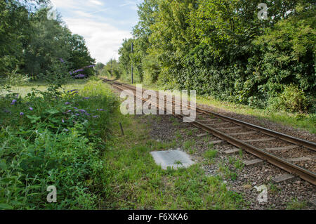 Eine alte, rostige Eisenbahnstrecke bewachsenen grünen umgeben. Stockfoto