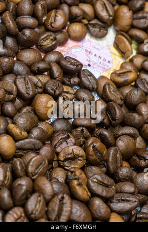 Landkarte von Uganda, bedeckt von einem Hintergrund von gerösteten Kaffeebohnen. Diese Nation ist einer der Hauptproduzenten und exporte Stockfoto