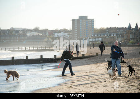 Portobello Beach, Edinburgh, Schottland, Großbritannien. 21. November 2015. Samstag 21. November 2015: Wetter Standalone. Portobello Beach, Edinburgh, Schottland. Hund ins Bodenlose Spaziergänger am Strand als die Temperaturen in der schottischen Hauptstadt, 3 C. Forcasters prognostizieren den kältesten Winter in Großbritannien seit 50 Jahren. Bildnachweis: Andrew O'Brien/Alamy Live-Nachrichten Stockfoto