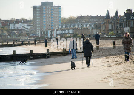 Portobello Beach, Edinburgh, Schottland, Großbritannien. 21. November 2015. Samstag 21. November 2015: Wetter Standalone. Portobello Beach, Edinburgh, Schottland. Hund ins Bodenlose Spaziergänger am Strand als die Temperaturen in der schottischen Hauptstadt, 3 C. Forcasters prognostizieren den kältesten Winter in Großbritannien seit 50 Jahren. Bildnachweis: Andrew O'Brien/Alamy Live-Nachrichten Stockfoto