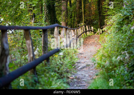 Ein Wanderweg durch den Wald neben einem Handlauf im warmen Abendlicht. In der Nähe von Monschau in der Eifel, Deutschland übernommen. Stockfoto