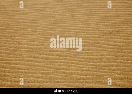 Wellen im Sand gebildet durch die vorherrschenden Winde in den Sanddünen von Gomati Bereich, Katalako Dorf, Lemnos Island, Griechenland Stockfoto