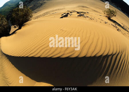 Groovy Sand Muster und Linien durch natürliche Erosionen in Gomati Bereich gebildet. Katalako Dorf, Lemnos oder Insel Limnos, Griechenland Stockfoto
