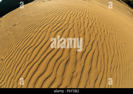 Windgepeitschten Sandschicht Muster. Gomati Sanddünen, Katalako Dorf, Lemnos oder Insel Limnos, Griechenland Stockfoto