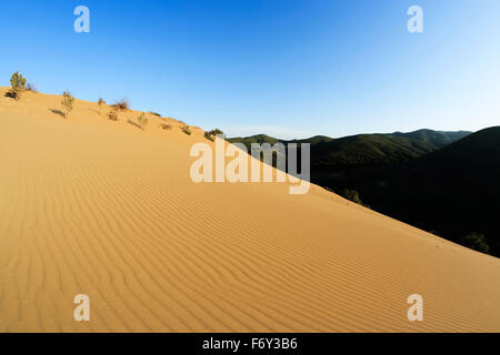 Groovy Muster auf den Sanddünen von Gomati Bereich, Katalako Dorf, Lemnos oder Limnos Island, Griechenland Stockfoto