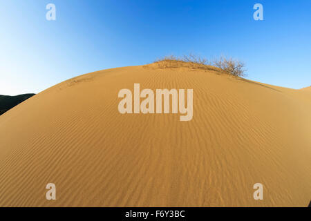 Groovy Linien auf den sandigen Dünen von Gomati Bucht-Bereich, Katalako Dorf, Lemnos oder Limnos Island, Griechenland Stockfoto