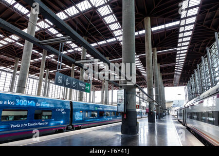 Madrid Spanien,Hispanic Arganzuela,Estacion de Madrid Atocha,Madrid Puerta de Atocha,Bahnhof,innen,Bahnsteig,Spain150704030 Stockfoto