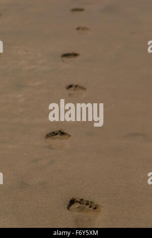 Fußabdruck im Sand Stockfoto