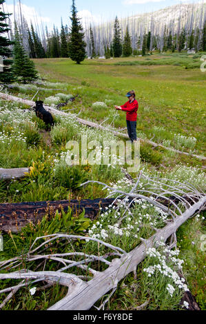 Frau und Hund unterwegs im Payette National Forest, Idaho, fotografieren Wildblumen mit ihrem Handy (Herr No. 01-1915) Stockfoto