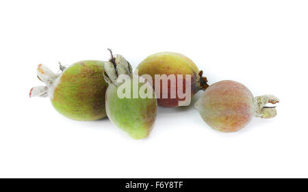 Ananas Guave Früchte (Feijoa Sellowiana) sind sehr süß und lang anhaltende Duft strahlt Stockfoto