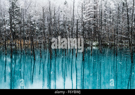 Blaue Teich ist ein Wasserspiel in Biei, Hokkaido, Japan. Es ist eines der weltweit schönsten Teich und andere Ansicht für jede Jahreszeit bieten. Stockfoto