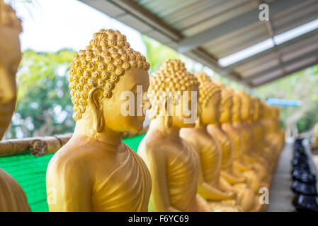 Reihe von Gold bemalte Statuen am Big Buddha in Patong, Phuket, Thailand Stockfoto