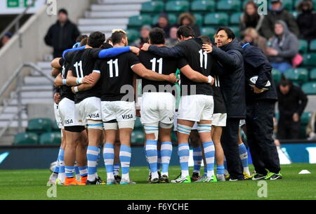 Twickenham, Großbritannien. 21. November 2015. Argentinien-Hudle vor dem Killik-Cup zwischen Barbaren und Argentinien im Twickenham Stadium. Die Pumas gewann mit einem Score von 49-31. Bildnachweis: Aktion Plus Sport/Alamy Live-Nachrichten Stockfoto