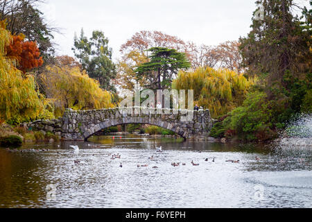 Ein Blick auf Goodacre See und die steinerne Brücke in Beacon Hill Park in Victoria, British Columbia, Kanada. Stockfoto