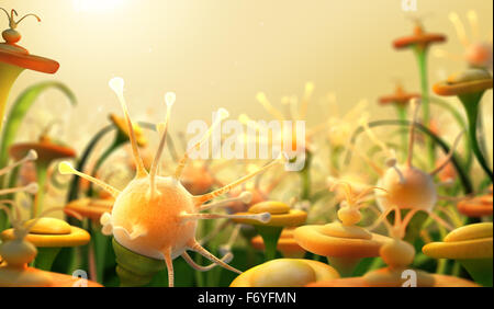 Blumen im fremden Garten Stockfoto