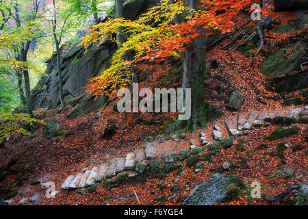 Geheimnisvolle Treppe am Berghang im Herbst mit Laub bedeckt. Stockfoto