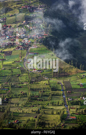 Highland Cemoro Lawang Dorf im Bromo Tengger Semeru National Park, Ost-Java, Indonesien. Vertikale erschossen Stockfoto