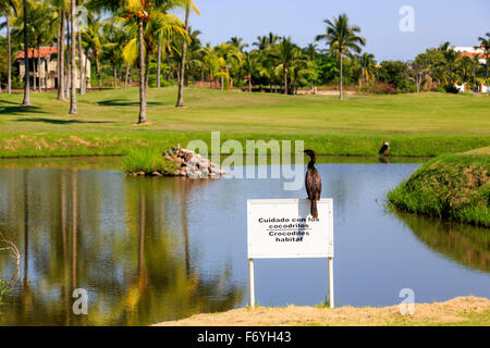 Warnzeichen für Krokodile in der Nähe ein Wasserhindernis an der Seite des neunten Green von Marina Vallarta Golf Club, Puerto Vallarta, mich Stockfoto