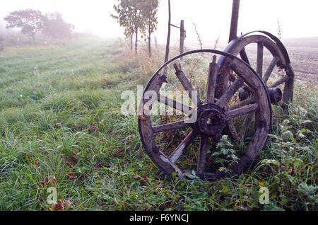 Sonnenaufgang am nebligen herbstliche Landschaft mit zwei antiken Pferd Kutsche Holzräder Stockfoto