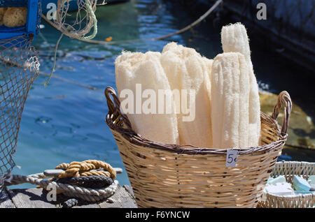 Natürliche Luffa Schwämme zum Verkauf in Griechenland Meer Hafen Stockfoto