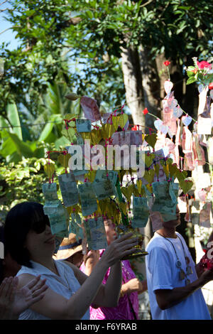 Geld Baum, Angebot, Tempel, Thailand, Mönch Stockfoto