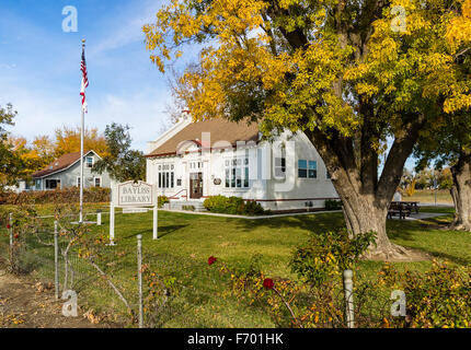 Carnegie-Bibliothek in der kleinen Kreuzung Bayless, Kalifornien Bayless Blue Gum unterwegs in der Nähe von Weiden, California. Stockfoto