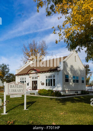 Carnegie-Bibliothek in der kleinen Kreuzung Bayless, Kalifornien Bayless Blue Gum unterwegs in der Nähe von Weiden, California. Stockfoto