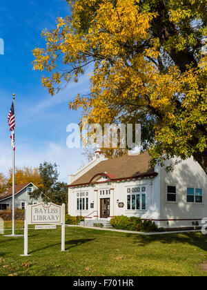 Carnegie-Bibliothek in der kleinen Kreuzung Bayless, Kalifornien Bayless Blue Gum unterwegs in der Nähe von Weiden, California. Stockfoto