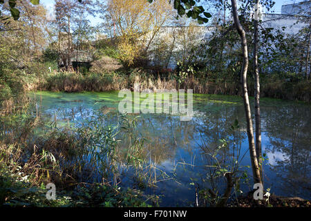 Camley Street Naturpark in Kings Cross, London, England Stockfoto