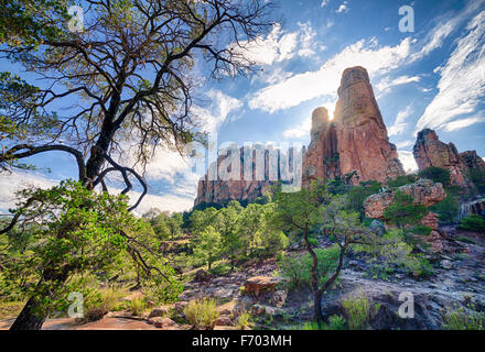 Sierra de Organos in Zacatecas, Mexiko. Stockfoto