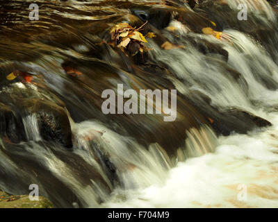 Rauschenden Wasserläufen vorbei an getrocknete Herbst Blätter am oberen Rand eine kleine Kaskade gefangen Stockfoto