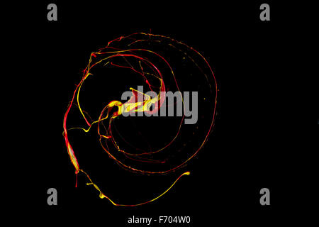 High-Speed-Bild Farbe Streifen Stockfoto