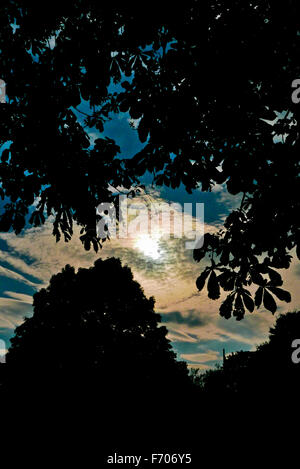 Die Sonne versteckt sich hinter einer Wolke mit Bäumen im Vordergrund Kopfhautniveau am späten Nachmittag im Juli. Stockfoto