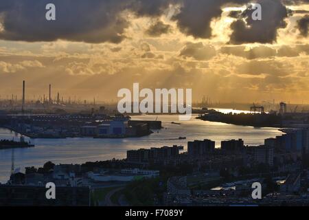 Rotterdam Abenddämmerung Panorma Stockfoto
