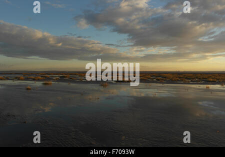 Herbst Blick auf den Sonnenuntergang über nassen Strand mit Cloud Reflexionen zum Pflanzen der Salzwiesen und Southport Küstenlinie, Fairhaven, Fylde Küste Stockfoto