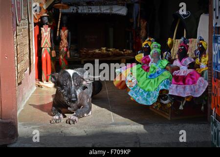 Hund, sonnen sich in der Tür ein Souvenir-Shop in Trinidad Provinz Sancti Spiritus-Kuba Stockfoto