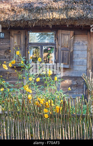 Das Museum der Landschaft Masowien in Sierpc, Polen. Alte hölzerne Bauer reetgedeckten Bauernhaus. Stockfoto