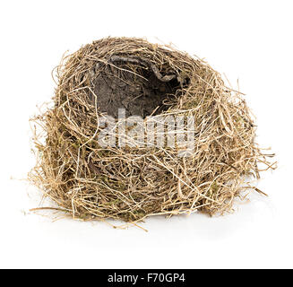 Original leere Vogel Nest Nahaufnahme isoliert auf einem weißen Hintergrund. Stockfoto