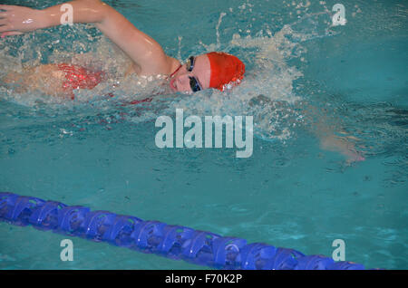 Schwimmer in einem Swim meet Stockfoto