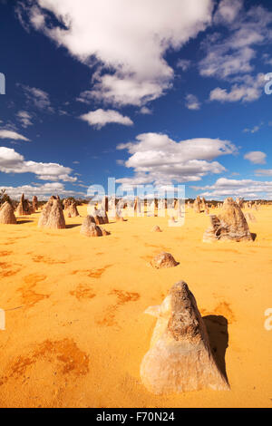 Die Pinnacles Desert im Nambung National Park, Western Australia. Stockfoto