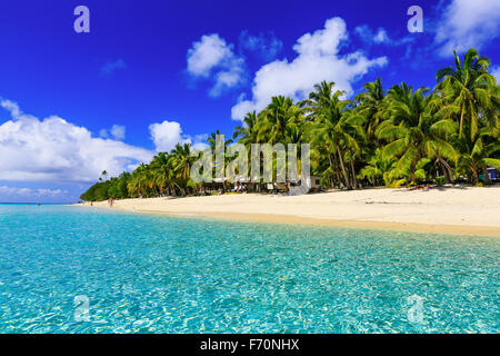 Beach auf der tropischen Insel & klares blaues Wasser. Dravuni Island, Fidschi. Stockfoto