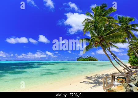 Strand mit Palmen über tropischen Wasser in Muri Lagoon, Rarotonga, Cook-Inseln Stockfoto